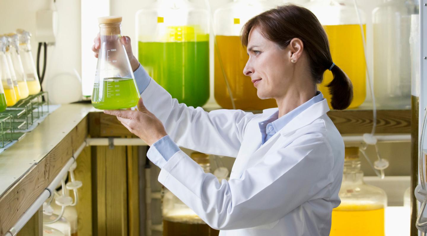 Polyfuel Sustainability and alternative, renewable diesel fuels | Motive