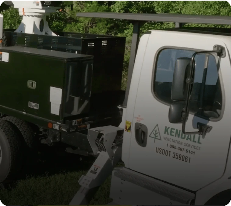 kendall xylem case study card