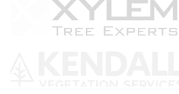 xylem and kendall logo