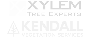 xylem kendall logo 2x