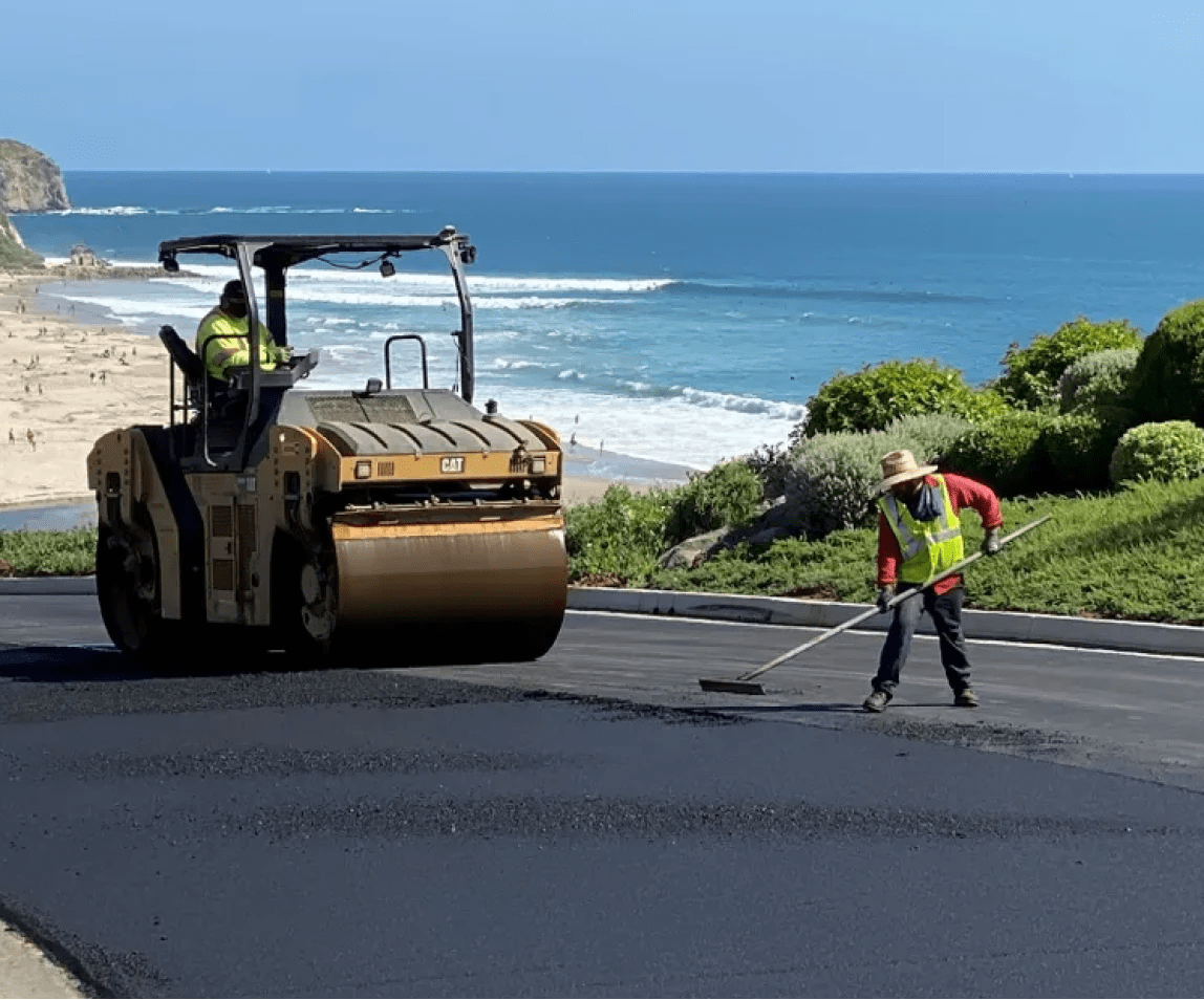 hardy harper case study