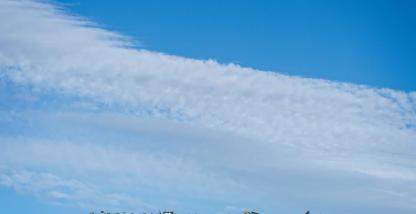 Turn raw oil and gas fleet data into a competitive edge in the field.